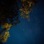 Sega Flux2 виртуальный планетарий и технологии виртуальной реальности image_1002.jpg