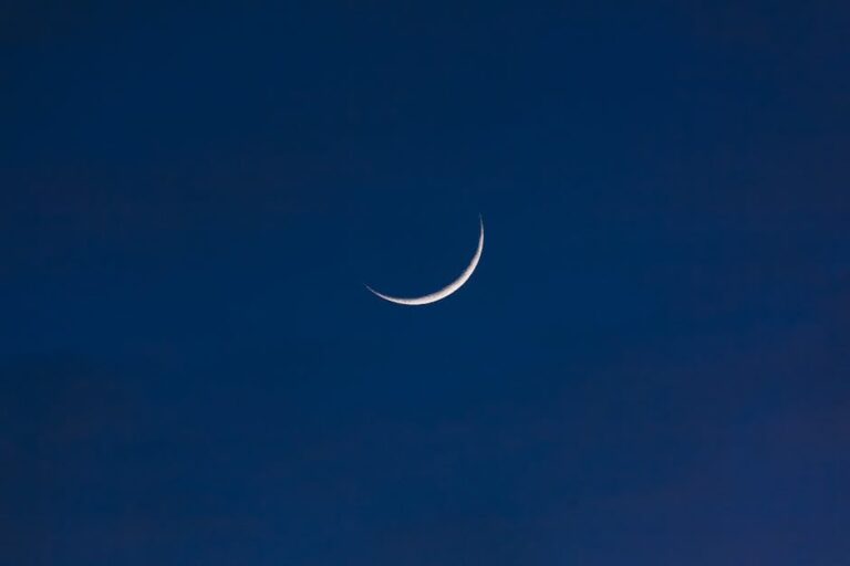 Segatoys Homestar детский планетарий для домашнего использования