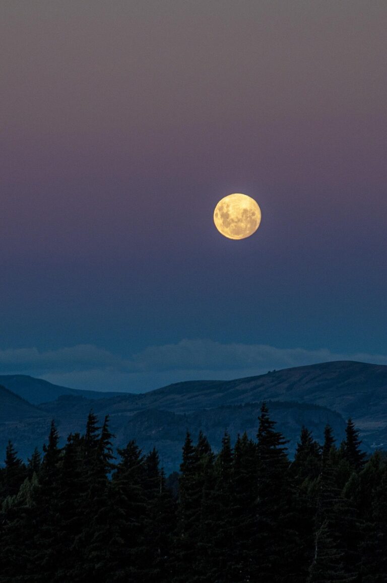 Проекторы звездного неба для детей: создание комфортной атмосферы в детской комнате