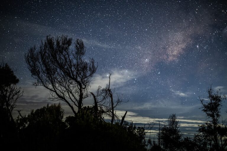 Sega Flux2 обзор уникального устройства для игр и астрономии