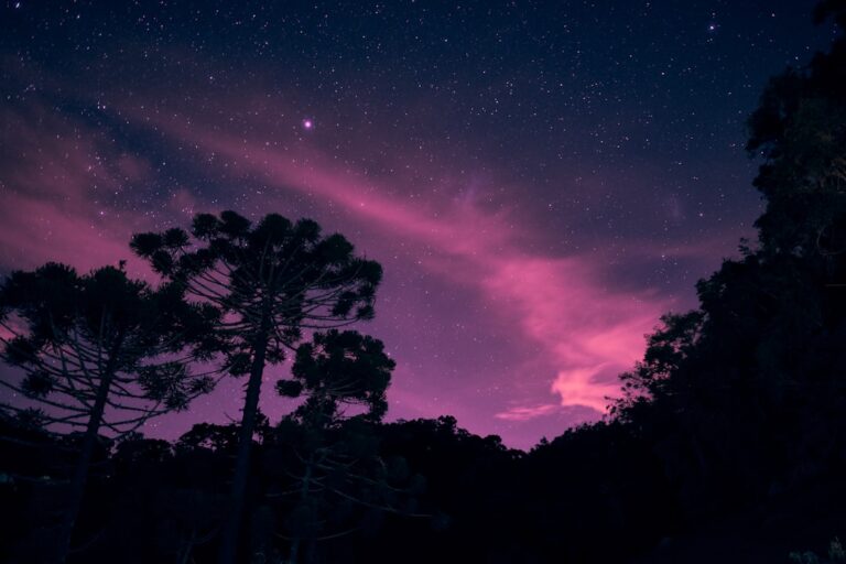 Проекторы Звездное небо для дома